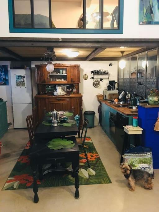 Loft D Artistes Avec Patio Au Port De Nice Buitenkant foto